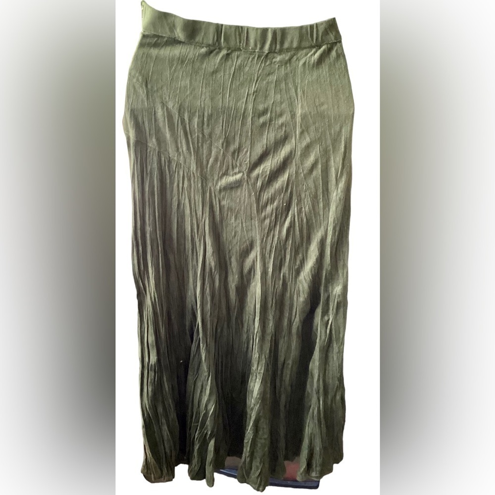 NWT! $80 Green Suede Like Soft Crinkle Skirt Coldwater Creek PL - Picture 2 of 5